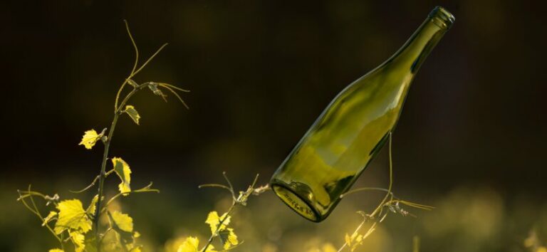Les vins de bourgogne allégement   bouteille