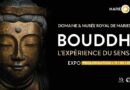 exposition bouddha à morlanwez