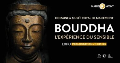 exposition bouddha à morlanwez