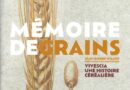 mémoire grains cherche midi 20 02