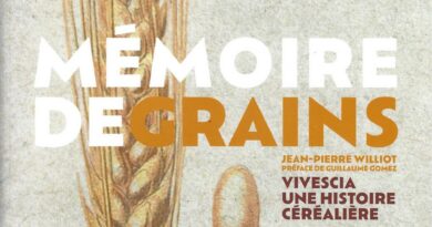 mémoire grains cherche midi 20 02