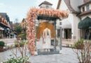 Maasmechelen : Entre Luxe et Fantômes Industriels