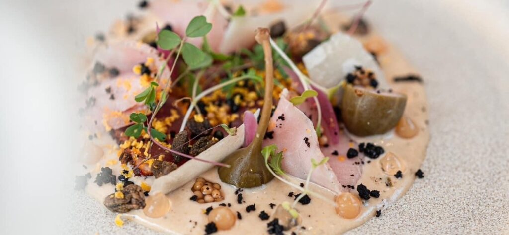 BISTЯO, le seul champ où on cultive l’appétit