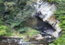 Famenne-Ardenne : l’évasion grandeur nature, à deux pas d’ici