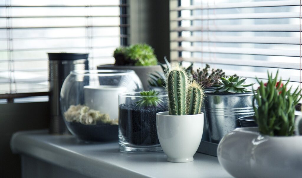Pots 716579