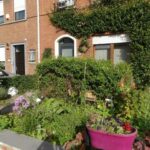 1 fleurir bxl