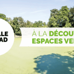 a la découverte de la biodiversité et du patimoine de la ville de bruxelles