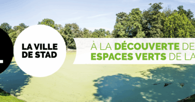 A la #découverte de la #biodiversité et du #patrimoine de la Ville de #Bruxelles