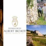 vins de bourgogne maison albert bichot
