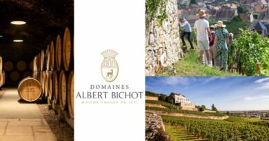#Vins de #Bourgogne : La Maison Albert Bichot mêle patrimoine, histoire et oeonologie