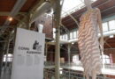 Des #artistes #créateurs bruxellois réinterprètent l’#Art #déco aux #Halles Saint-Géry à Bruxelles