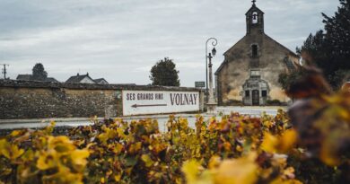 Une journée riche en #découverte de #bons #vins à #Volnay
