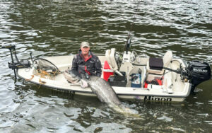 Lesilunus glanis s'acclimate bien en belgique