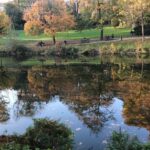 Parc 5 Etang