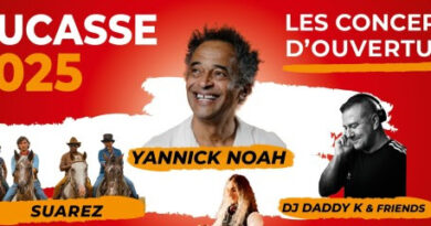 La #Ducasse de #Mons : les #concerts d’ouverture sur Vivacité et La Une RTBF