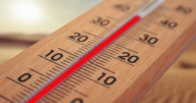 Le #plan #canicule est activé par la #Ville de #Bruxelles