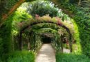 Un été au Musée&Jardins van Buuren