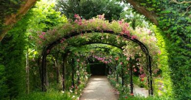 Un été au Musée&Jardins van Buuren
