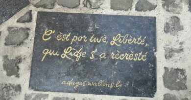 A Liège, “12 Dalles en wallon”