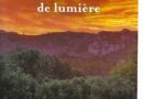 Le Marchand de lumière. Roman de Frédérick d’Onaglia