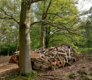 Le parc Tournay Solvay à Watermael-Boitsfort accueille les sculptures d’une artiste polonaise
