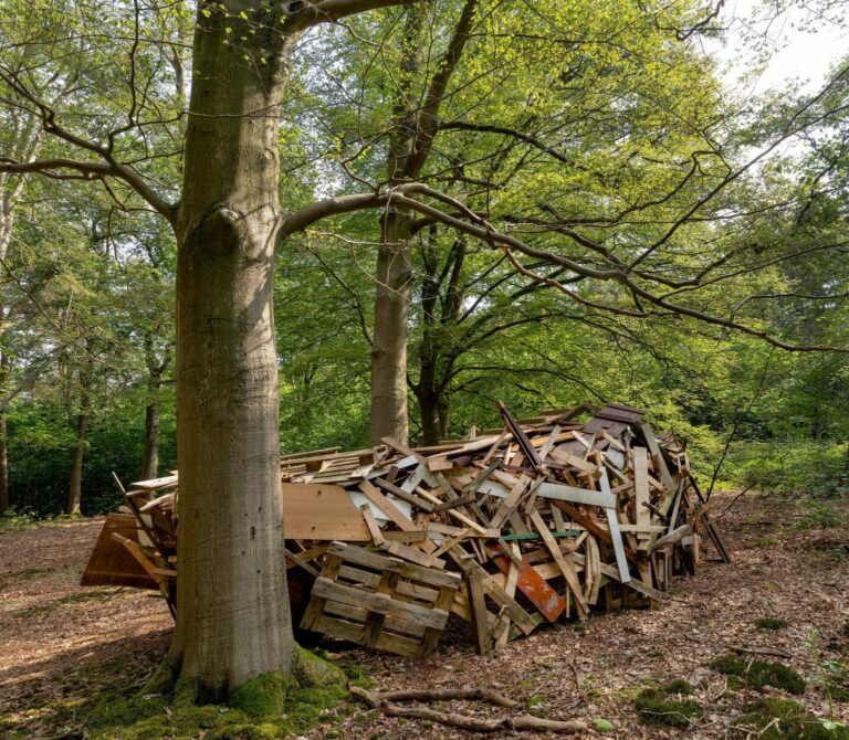 1  expo tournay solvay J