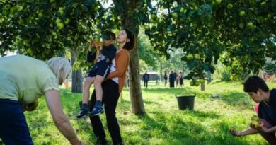 Inscrivez-vous aux ateliers des vergers à Neder-Over-Heembeek