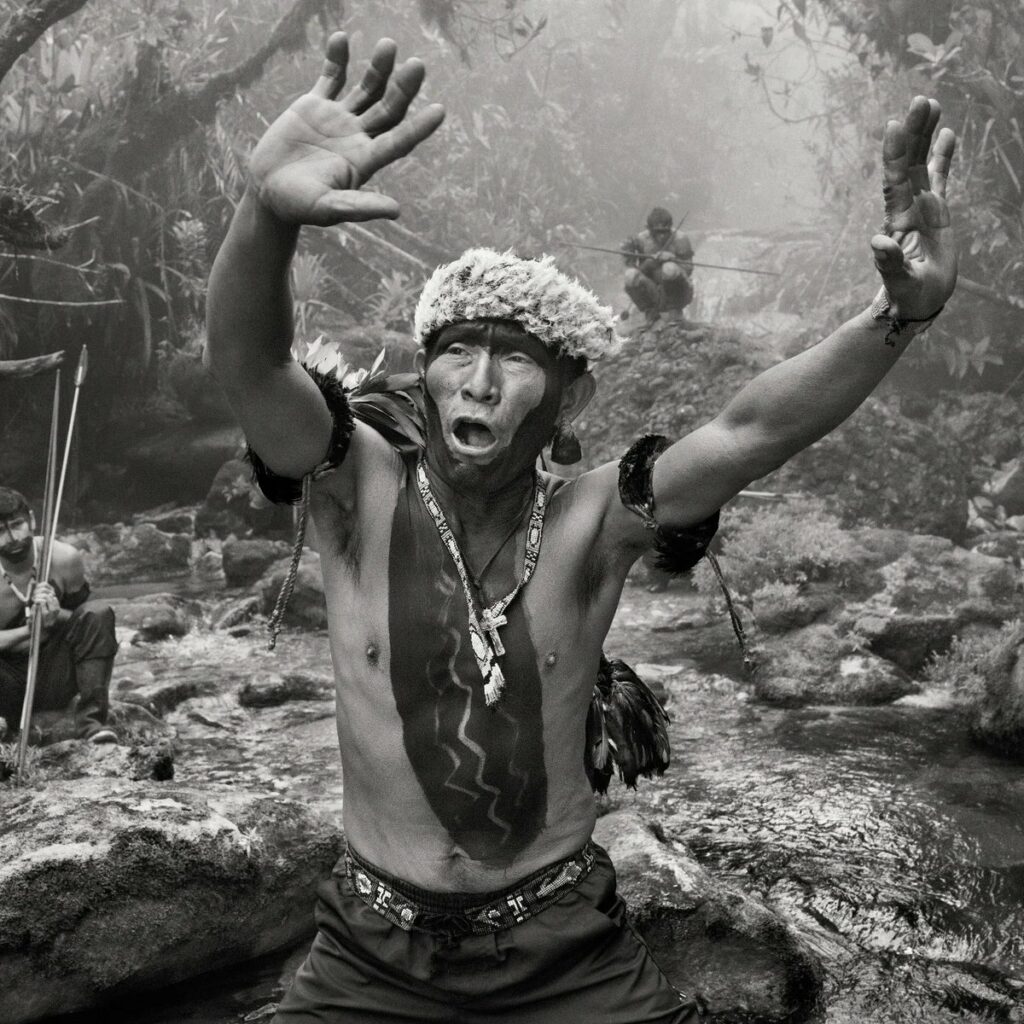 Amazonia 9 UNE