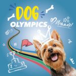 Dog olympique pour chiens à Bruxelles