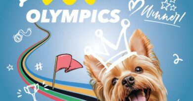 Dogolympics est la première olympiade pour chiens à Bruxelles !