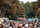 Fiesta Latina Summer 2025 au Bois de La Cambre