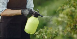 interdicion pesticides dans les jardins de la région bruxelloise