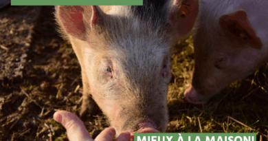 Nature & Progrès demande l’abattage des animaux à domicile