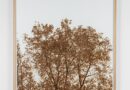 Exposition des œuvres d’Olivier Kosta-Théfaine chez Alice Gallery à Ixelles