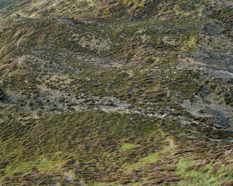 u4-exposition-chez-contretype-a-saint-gilles