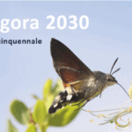 u4-natagora-plan
