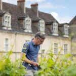 u4-un-changement-de-proprietaires-dans-de-tres-bons-vins-de-Bourgogne