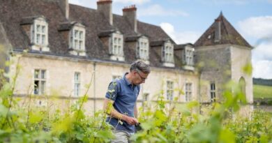 Un changement de propriétaire dans de très bons vins de Bourgogne