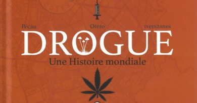 Drogue. Une histoire mondiale