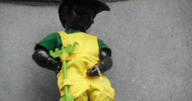 Manneken-Pis ne craint ni le froid, ni le vent ni la pluie en ce mois de novembre 2025