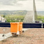 u4-lon-fait-son-miel-en-province-de-liege