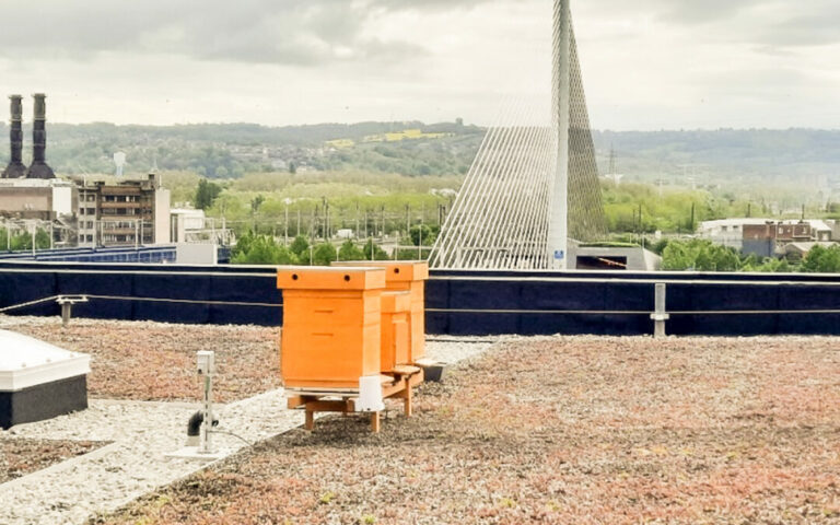 u4-lon-fait-son-miel-en-province-de-liege