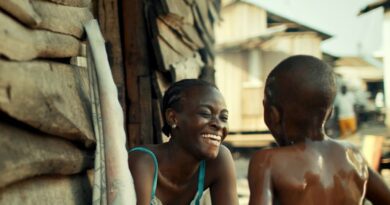 Jusqu’au 01 novembre, 10e “FIFB” (“Festival International du Film de Bruxelles”)