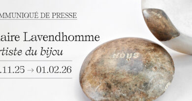 Claire Lavendhomme, artiste du bijou, expose ses œuvres à la Galerie BeCraft à Mons