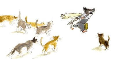 Lecture : Les chats de Gabrielle Vincent mis en valeur à la Maison CFC à Bruxelles