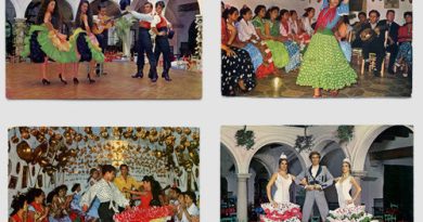 1-flamenco-europalia