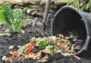 Comment faire un bon compost ? 