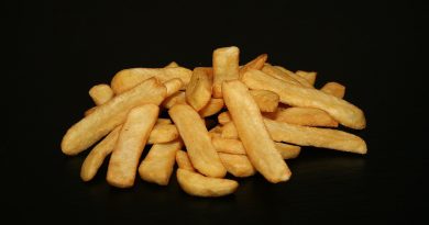 Les frites belges sont-elles vraiment meilleures que les frites françaises ? Une rivalité croustillante
