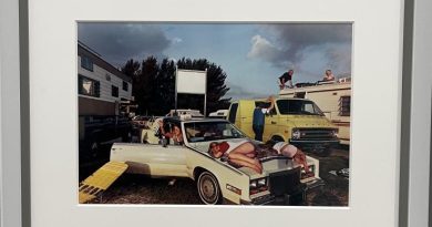 Au “Musée de la Photographie de Charleroi”, jusqu’au 25 Janvier : “Histoires en Séries. Collection Astrid Ullens de Schooten Whettnall”