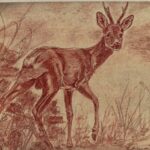 Tourinnes-5-Dessin-Kathleen